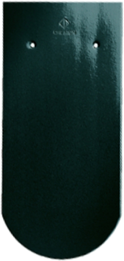 Gallery Image of KLASSIK - klasyczna karpiówka