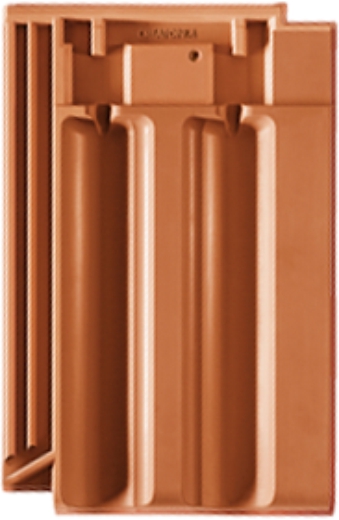 Gallery Image of Rapido 