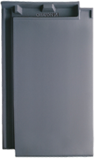 Gallery Image of DOMINO