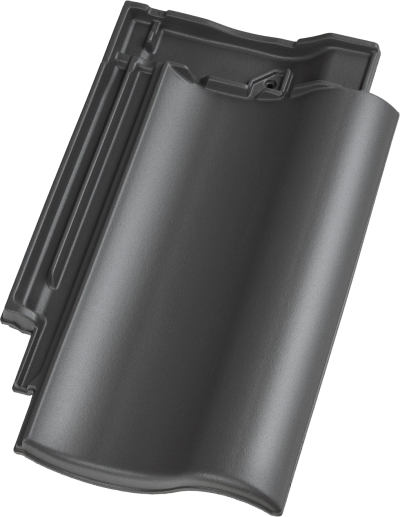 Gallery Image of CAVUS 14