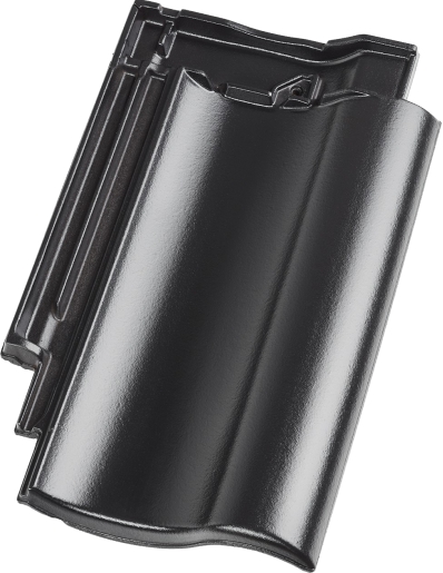 Gallery Image of CAVUS 14