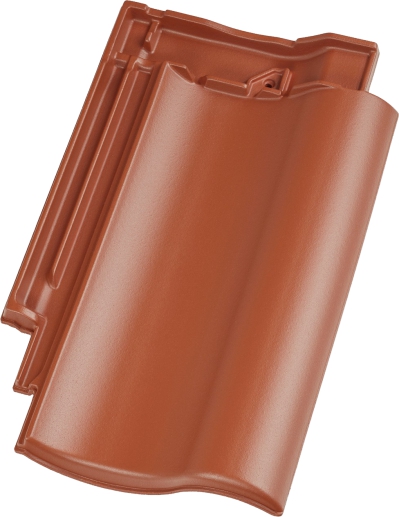 Gallery Image of CAVUS 14