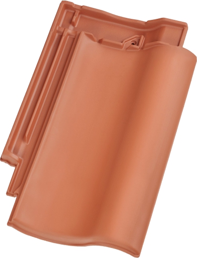 Gallery Image of CAVUS 14