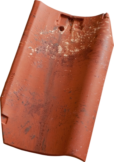 Gallery Image of ESÓWKA SINUS