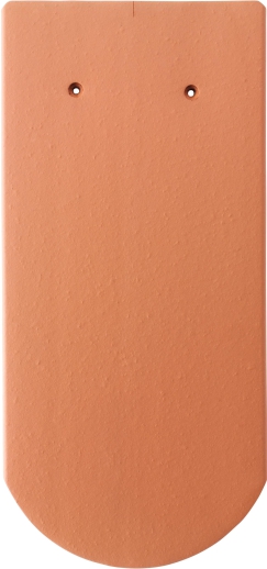 Gallery Image of KARPIÓWKA