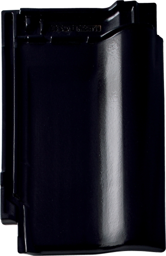 Gallery Image of Rubin 9V 