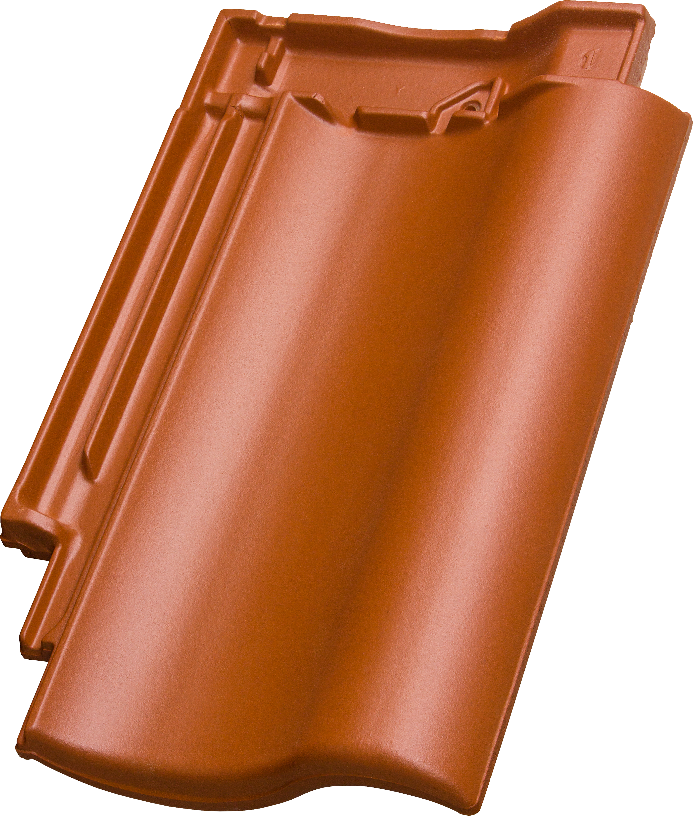 Gallery Image of Cavus 13