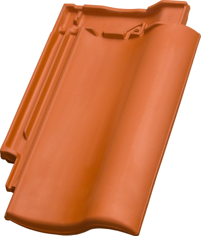 Gallery Image of Cavus 13