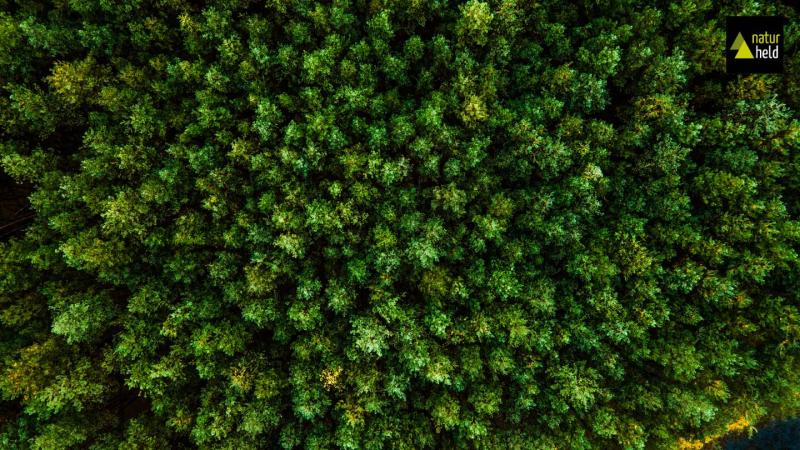 Gallery Image of Naturheld 140