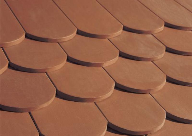 Gallery Image of KARPIÓWKA