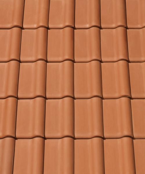 Gallery Image of BALANCE