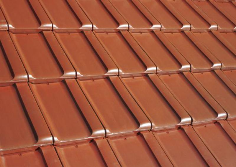 Gallery Image of Reforma SL