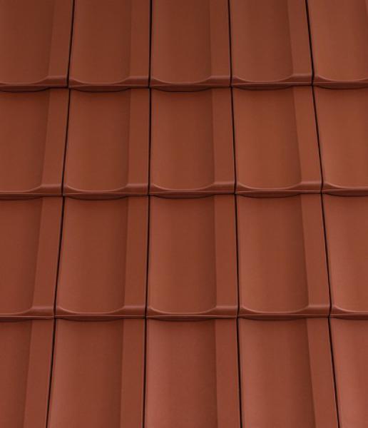 Gallery Image of Cantus