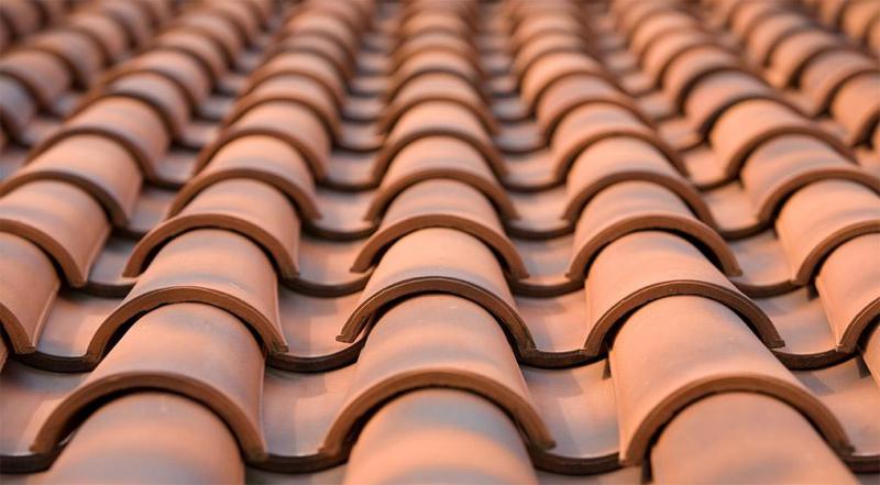 Gallery Image of Mnich-Mniszka Kunice