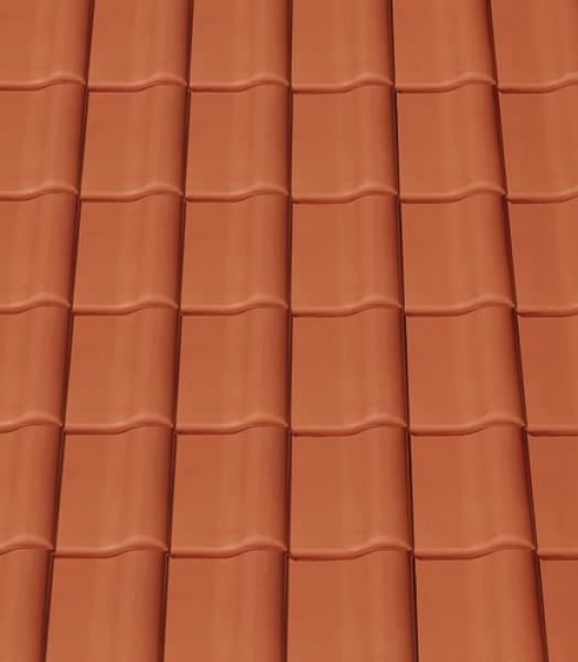 Gallery Image of MAGNUM