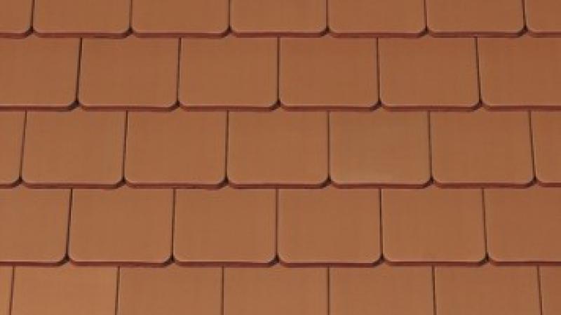 Gallery Image of AMBIENTE - karpiówka krój prosty