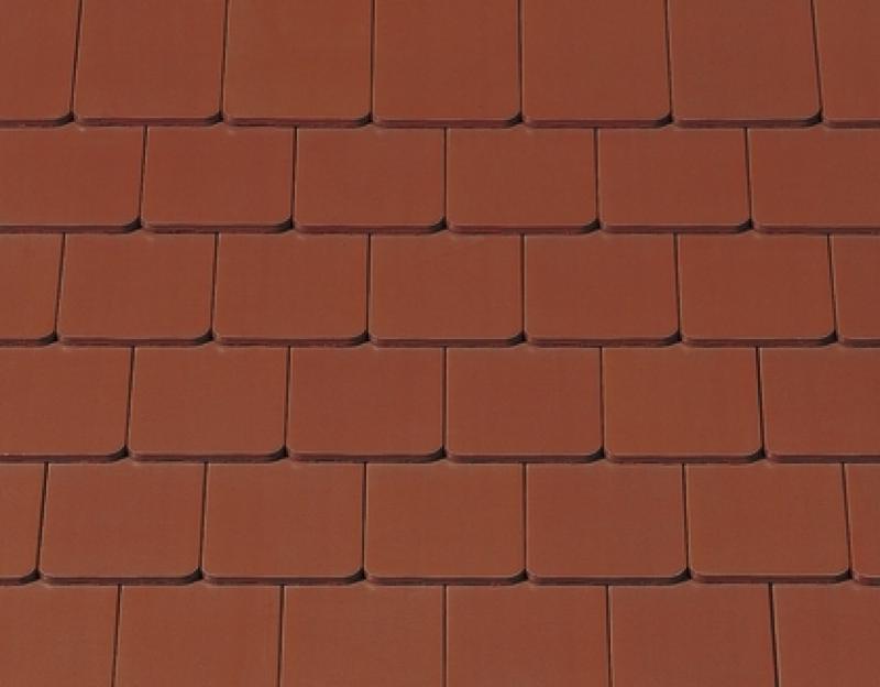 Gallery Image of AMBIENTE - karpiówka krój prosty