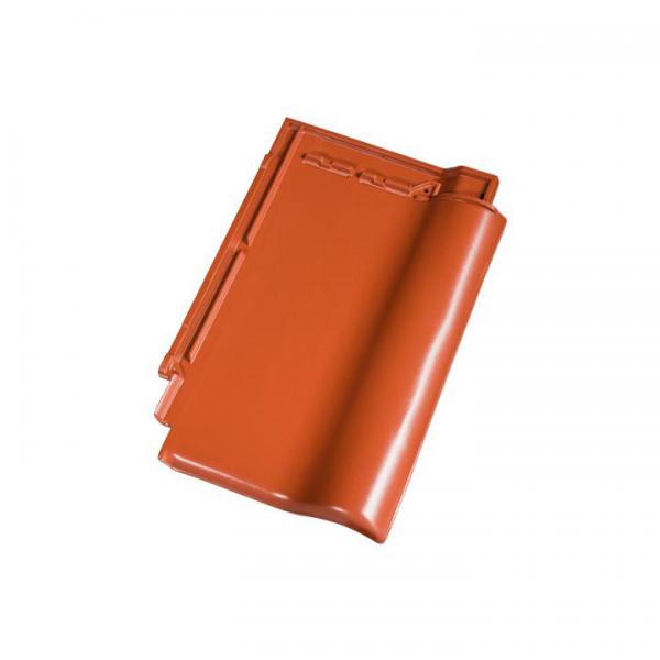 Gallery Image of Alegra 9