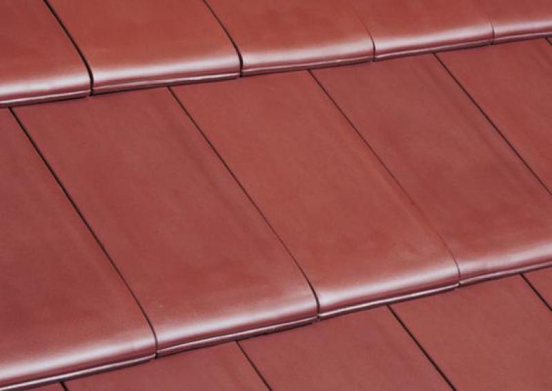 Gallery Image of Linea