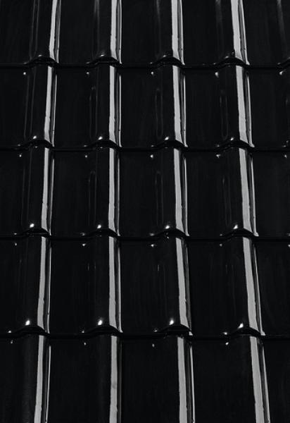 Gallery Image of HARMONICA