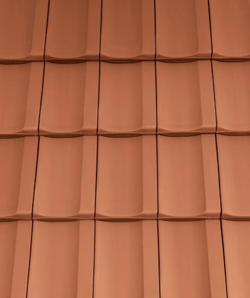 Gallery Image of Cantus