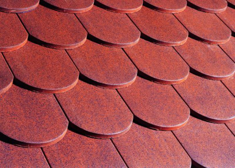 Gallery Image of KARPIÓWKA