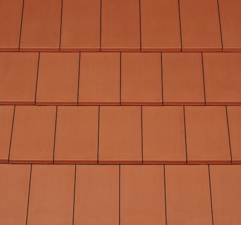 Gallery Image of DOMINO